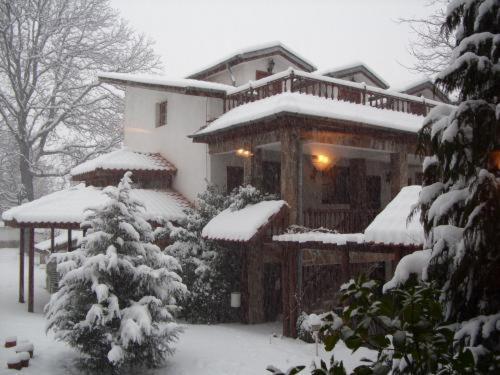 Hotel Teddy House Bansko Bagian luar foto